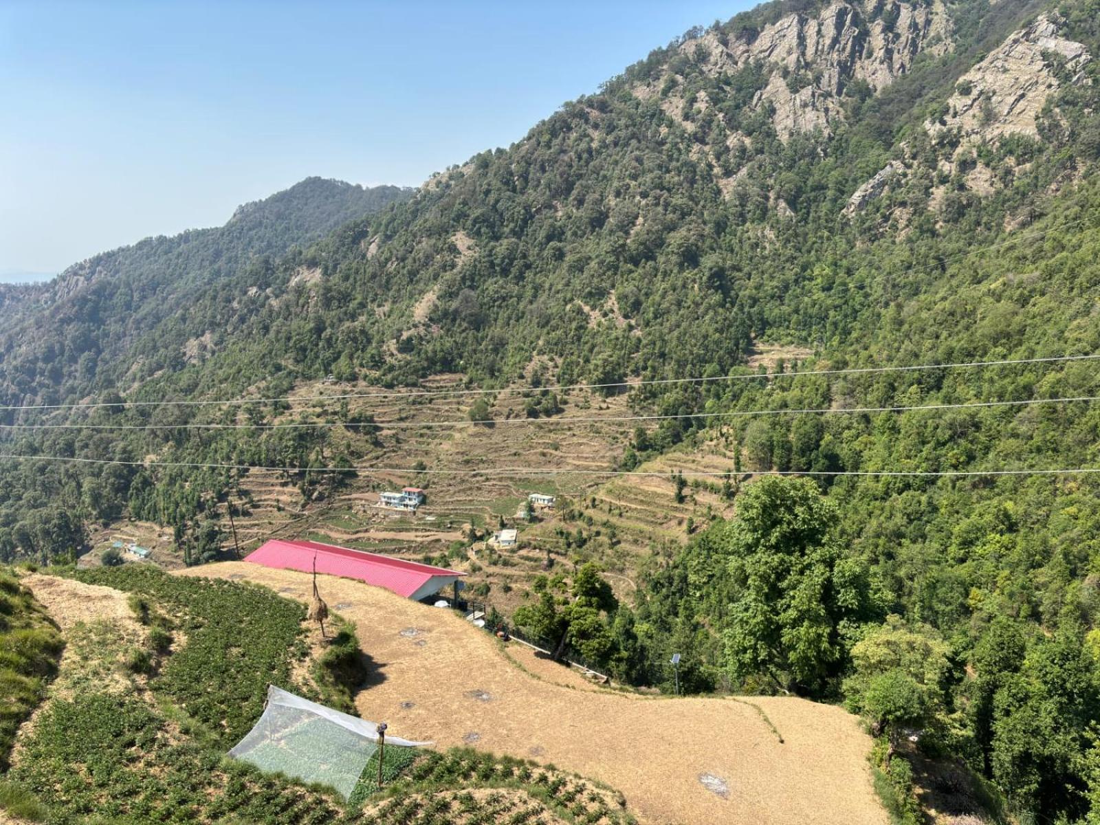 The Groove Garden Dhanolti Dhanaulti Bagian luar foto