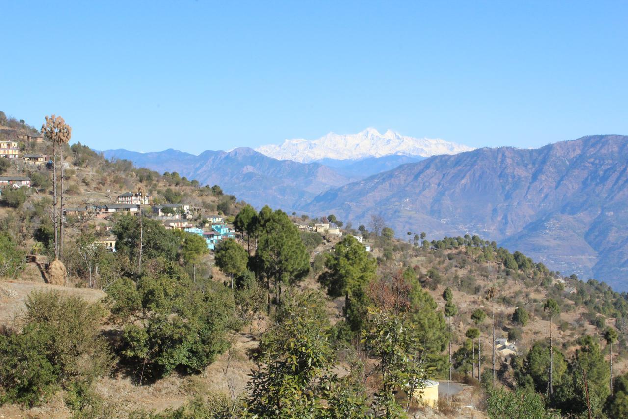 The Groove Garden Dhanolti Dhanaulti Bagian luar foto